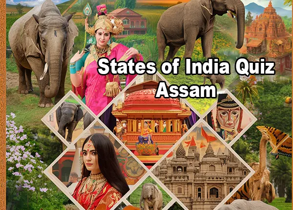 Quiz Image