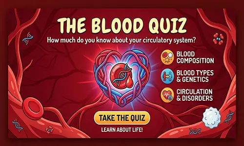The Blood Quiz | Human Blood, Circulation & Health Quiz
