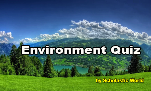 Quiz Image