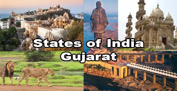 Quiz Image