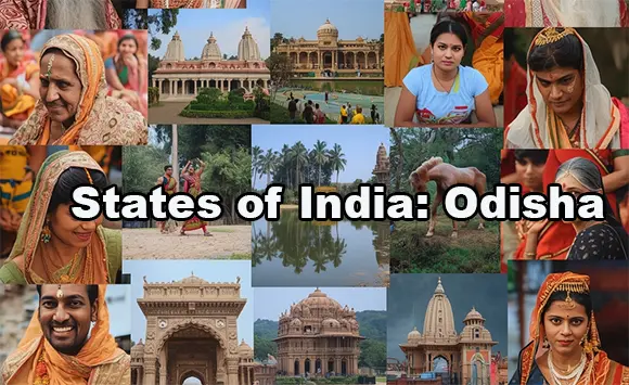 Quiz Image