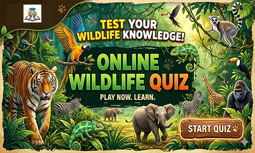 Wildlife Quiz